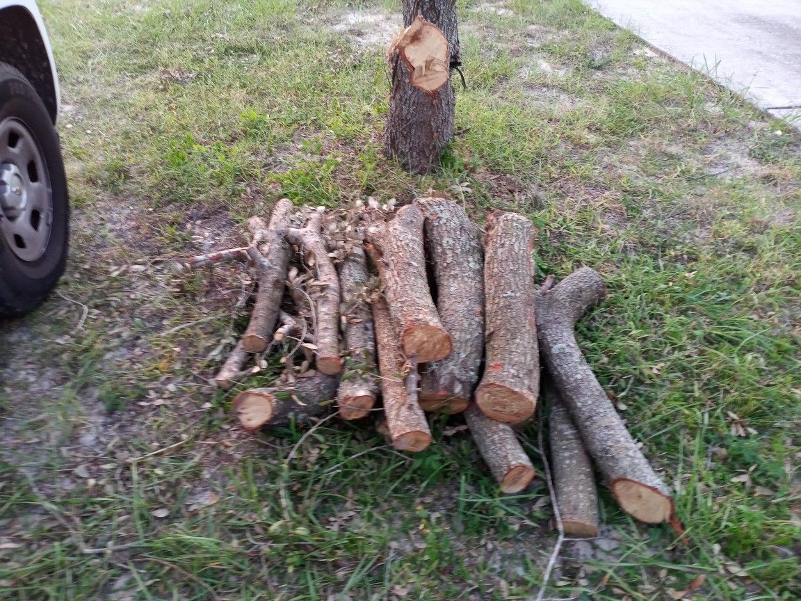 Free BBQ wood pieces in Springhill, Fl