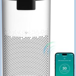 Air Purifiers for Home Large Room