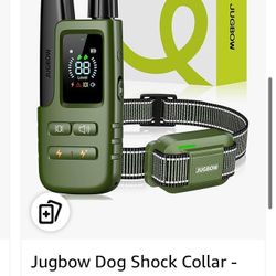 Dog Shock Collar