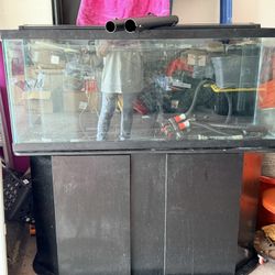 55 Gallon Fish Tank  With Stand & Filter 