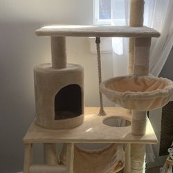 Kitty Condo