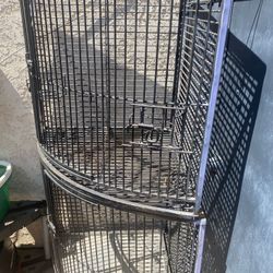Bird Cage 