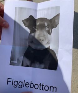 Photo Of Figglebottom