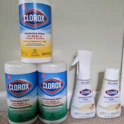 Clorox Wipes And Disinfectant Spray 