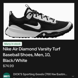 Nike Baseball Shoe Turf 12.5