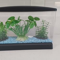 Small Aquarium (10×6×4) With Gravel And Plants