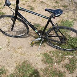Trek 