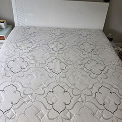 Novaform King Mattress 14" with Protector