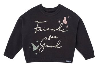 Wicked kids sweater