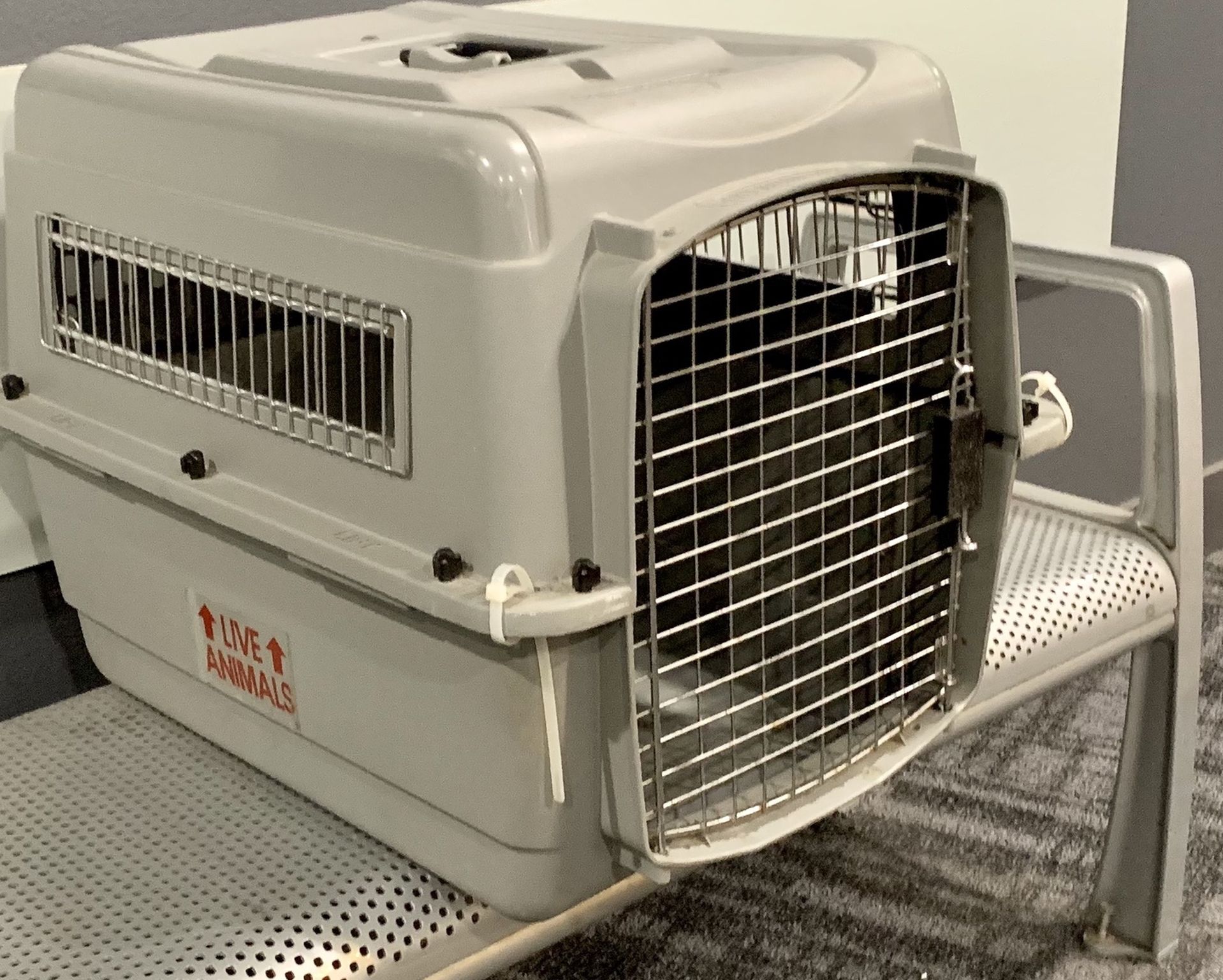 Sky Kennel Pet Carrier