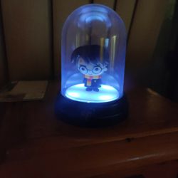 Harry Potter Light Globe