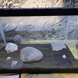 Multiple Fish Tanks For Sale