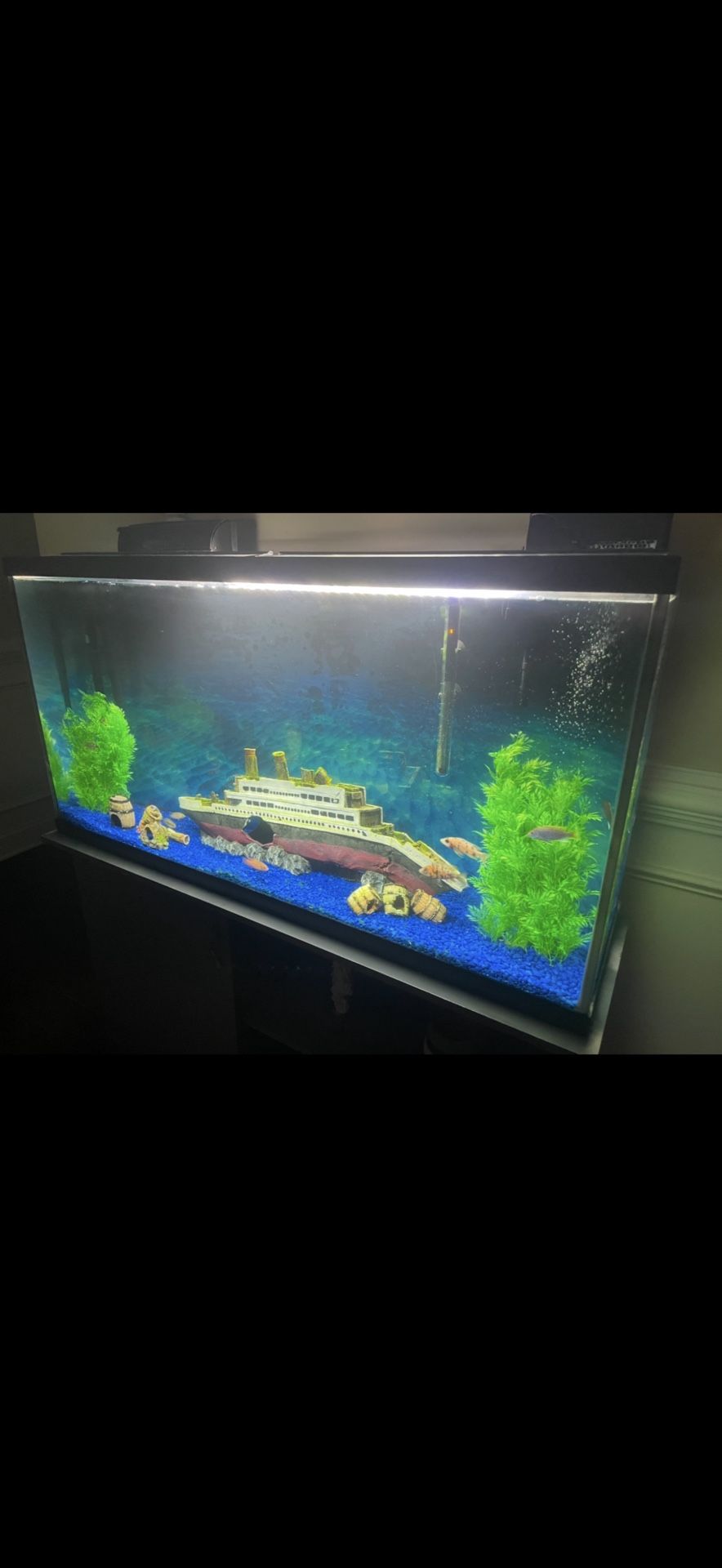 65 Gallon Fish Tank With Everything