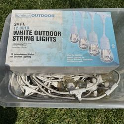 Outdoor Lights 