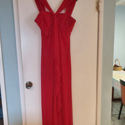 Prom / Formal Dresses  Size 10P