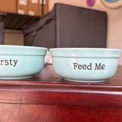 Pet Dishes