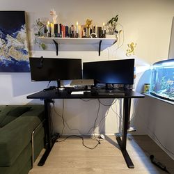 FLEXISPOT Adjustable Standing Desk
