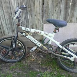 Young Man's Mongoose