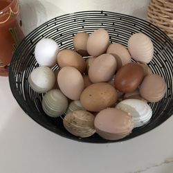 Fresh Eggs