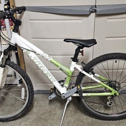 Trek 3700 mountain bike