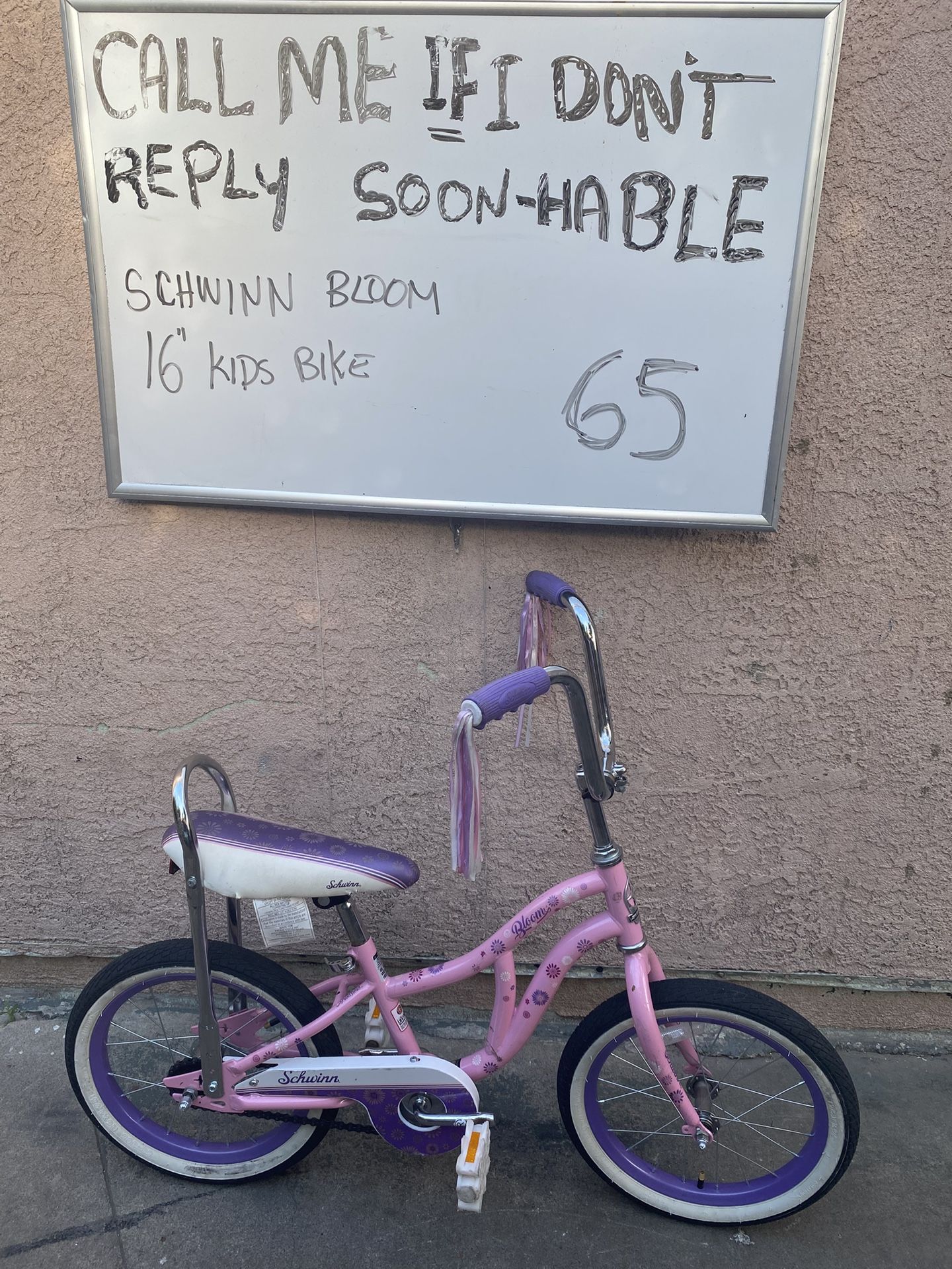Bike Schwinn