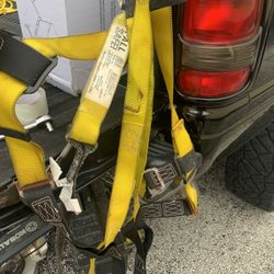 Safety harness