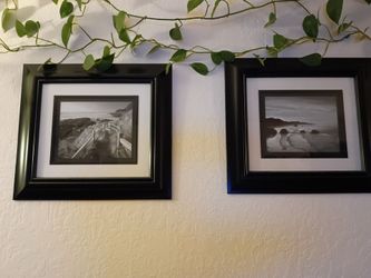 framed medium sized photos decor