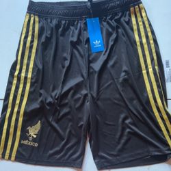 Mexico 24/25 Adidas Copa De Oro Shorts