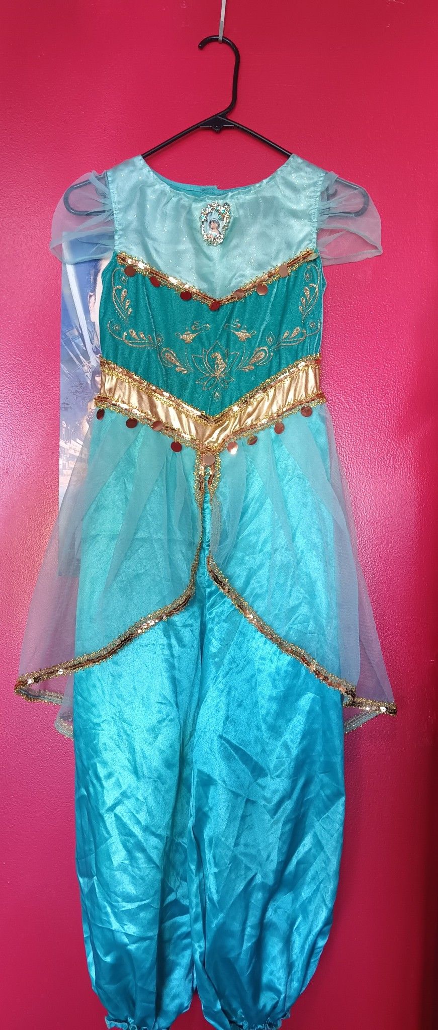 Princess Jazmine Halloween Costume Size 7-8