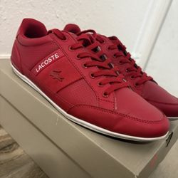 Lacoste Shoes Casual Size 8.5