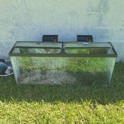 50Gallon & 29Gallon Fish Tank With Accessories