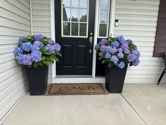 Pair of Tall Black Tapered Planters – Modern Concrete Porch Pots