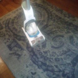 Area Rugs