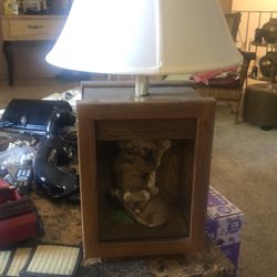 Koala bear Lamp