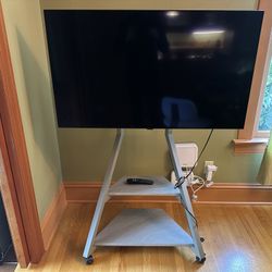 LG OLED 48” 4K TV (2023) with TV Stand