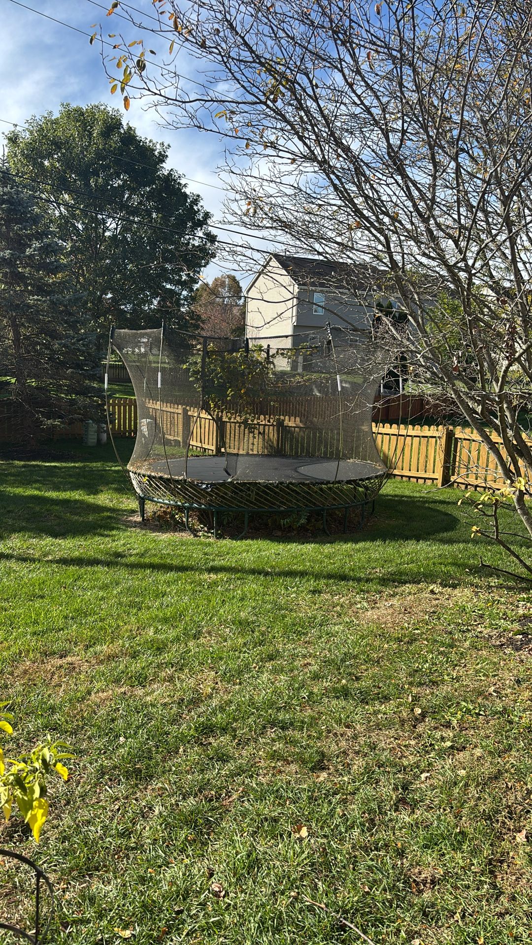 Free Trampoline 