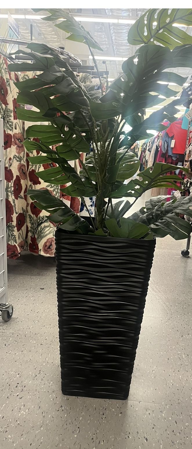 Potted Plant 