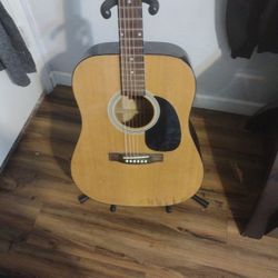 Rogue Acoustic Guitar 