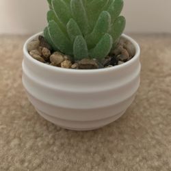 Small Fake Plant 