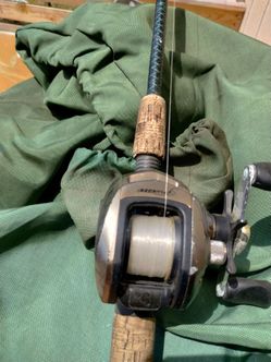 Fishing pole with reel