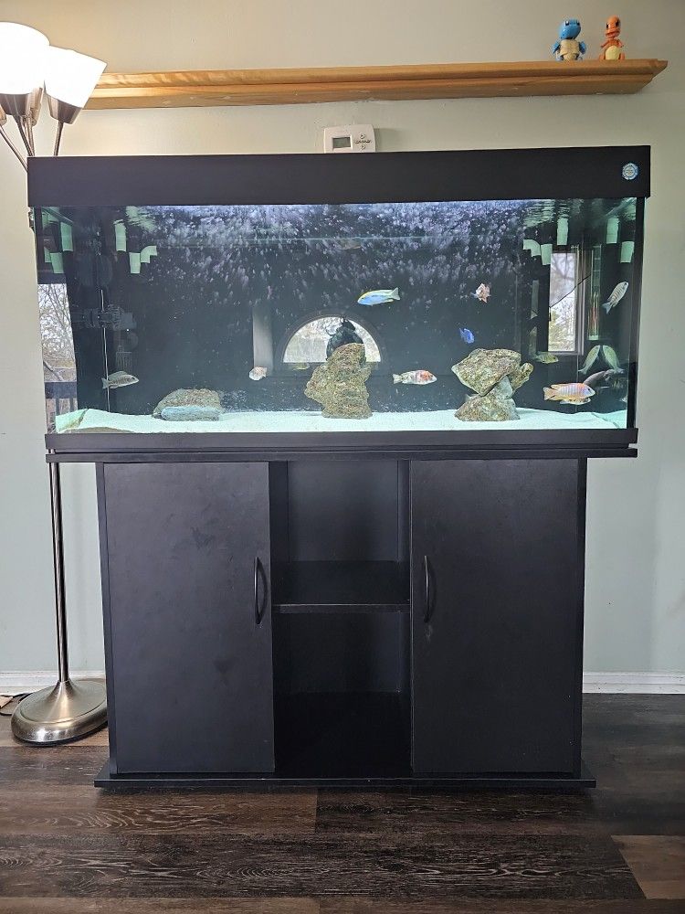 75 Gallon Fish Tank. EVERYTHING INCLUDED!