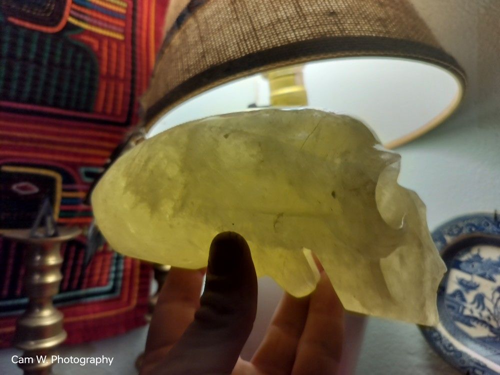 1.6 Lb Congo Citrine Carved Skull