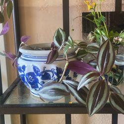 “wandering Dude” In Ceramic Pot