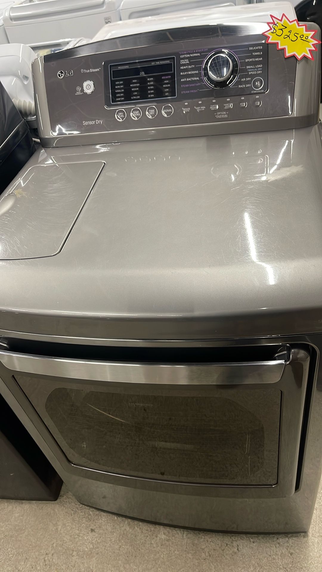 LG Gray Electric Gas Dryer