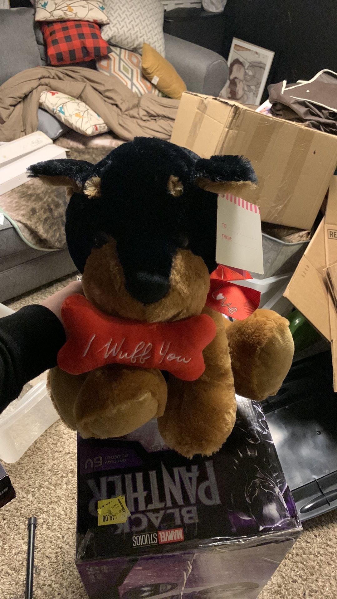 Valentine’s Day dog