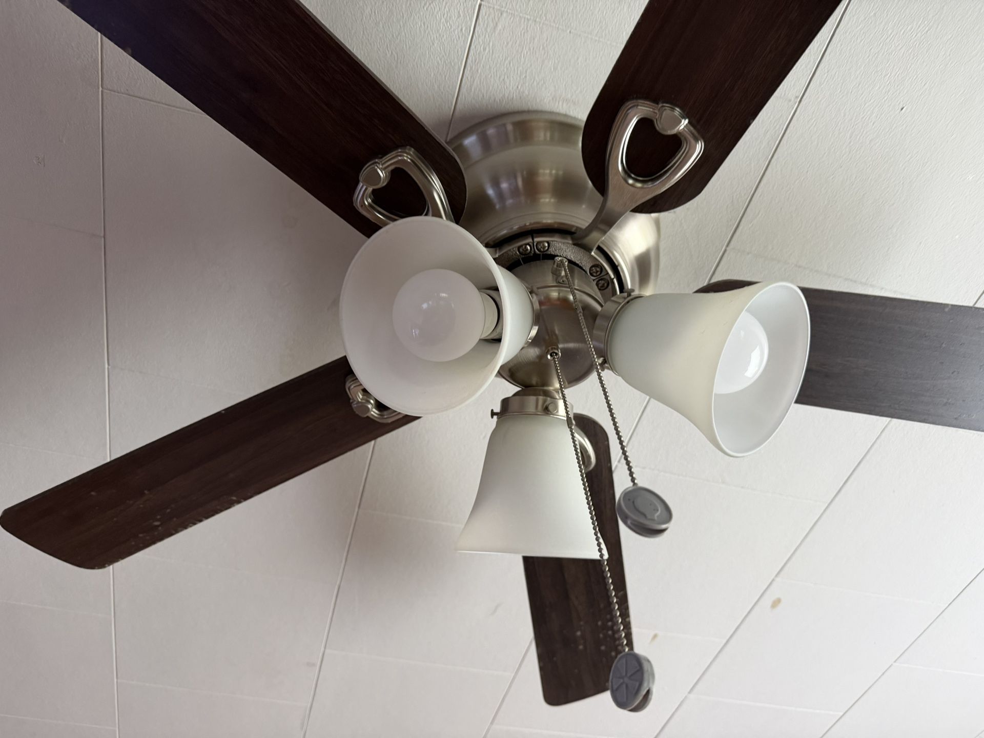 Very Nice Fans-And Only Used A Short Time