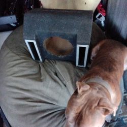 Single 10 Inch Dual Ported Subwoofer Enclosure