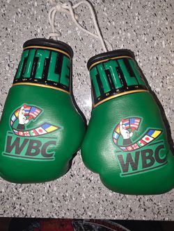 WBC review mirror gloves