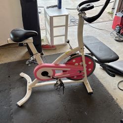 Sunny Spin Bike