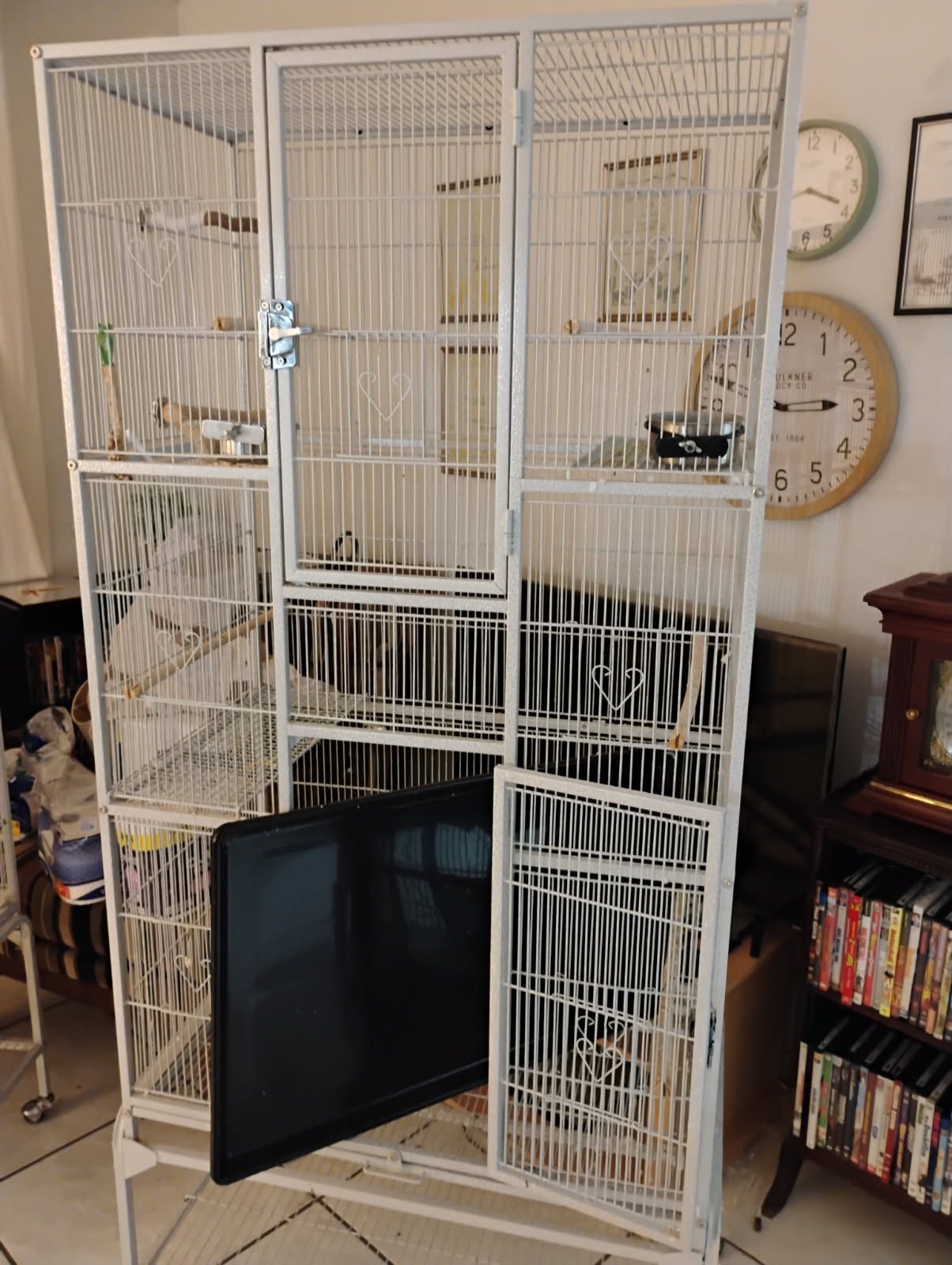 Bird Cage